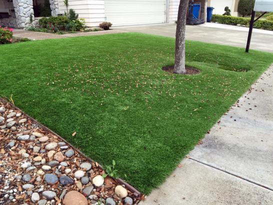 Artificial Grass Photos: Fake Lawn Luckey, Ohio Lawn And Landscape, Front Yard Landscaping