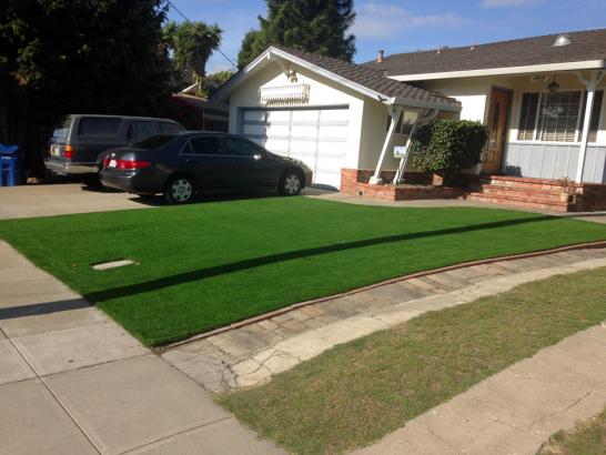 Artificial Grass Photos: Fake Turf Lagrange, Ohio Landscaping Business, Front Yard